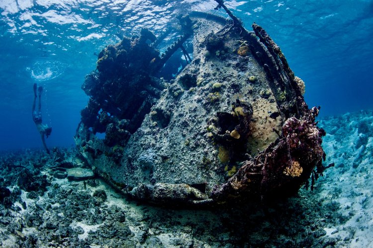 MInerva Reef Wrecks