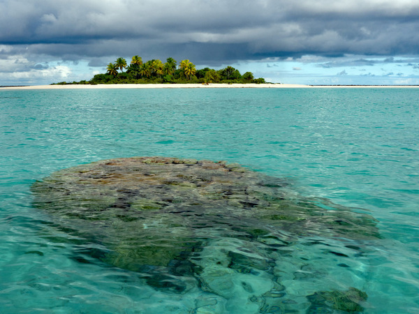  A coral bombie off a motu in Tahanea atoll 