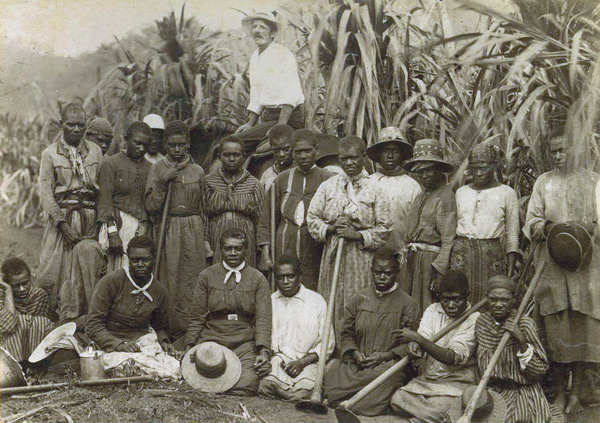 Kanaka workers in a sugar cane plantation in Queensland, late 19th century.
