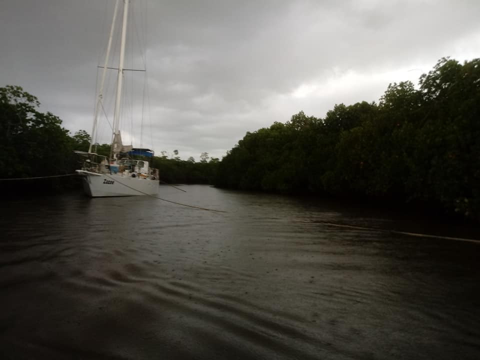 Mangrove lined rivers are the ultimate cyclone holes as these 4-5 foot mangroves absorb the energy of strong winds.