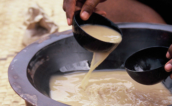  Kava aka yaqona, aka grog, is the traditional drink in Fiji. It is a mildly narcotic and sedative drink made from the crushed root of the yaqona (pronounced yang-GO-na) strained with water. It is served in a large communal bowl as part of the traditional kava ceremony. When you drink it it morphs into a pleasant, numb feeling around the mouth, lips and tongue, as well as a sense of calm and relaxation. You can ask for a full or half coconut shell Despite the naturally calming effects of the drink, the true experience lies in partaking in the ceremony. Kava is traditionally served as part of a ceremonial atmosphere, most commonly in welcoming guests into a village or on important occasions.